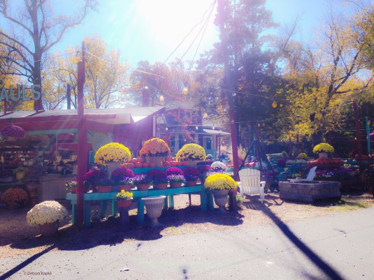 depaulsurbanfarm_5870